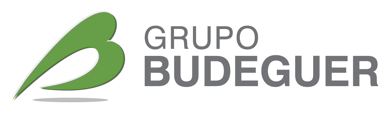 Grupo Budeguer
